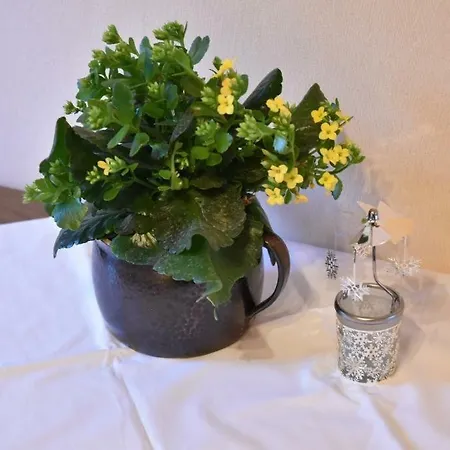 An Der Alten Schunter * Supplingenburg