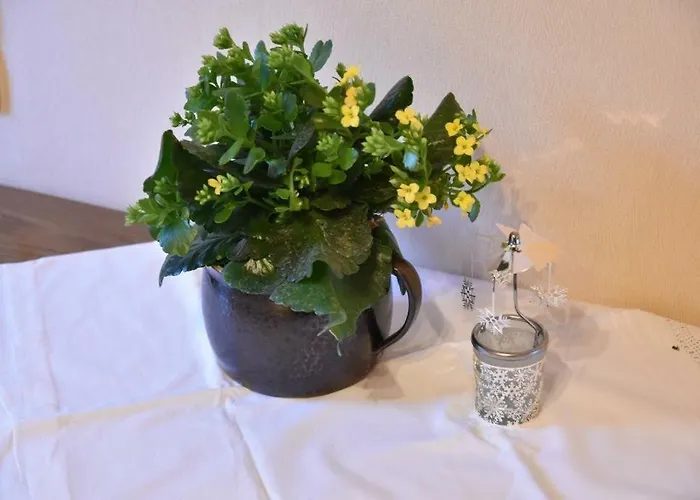 An Der Alten Schunter * Supplingenburg